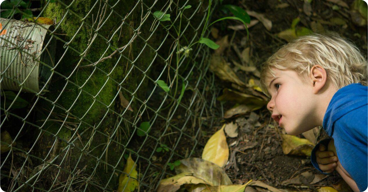 Landscape photo of a young blonde-haired boy (on the right), bending over to peer through a chainlink fence (centre) into an artistic installation of a 'rat den' (left). Not pictured: The rats red beedy eyes staring back. Photo credit to Mary Hutchinson - Photographer and multimedia artist